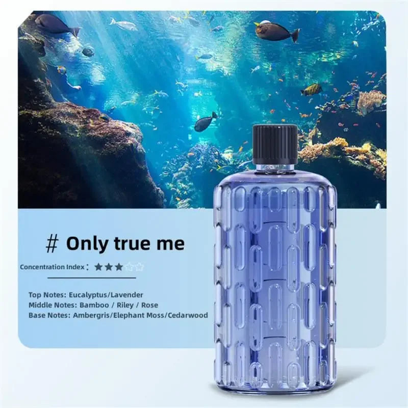 Ultrasonic Aroma Diffuser & Humidifier